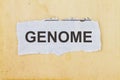 Genome in a newspaper cut out