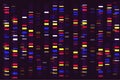 Genome sequencing map, infographic or DNA molecular test. Genetic sequencing technology concept Royalty Free Stock Photo