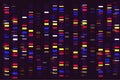 Genome sequencing map, infographic or DNA molecular test. Genetic sequencing technology concept