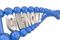 Genome Word DNA Strand Genetics Heredity Royalty Free Stock Photo