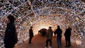 Beautiful photography of the street decoration in the center of the city.