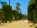 Genoves Park, Botanical Garden of Cadiz, Spain