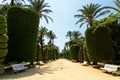 Genoves park situated on seaside of Cadiz, Andalusia, Spain Royalty Free Stock Photo