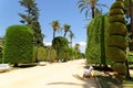 Genoves park situated on seaside of Cadiz, Andalusia, Spain Royalty Free Stock Photo