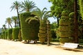 Genoves park situated on seaside of Cadiz, Andalusia, Spain Royalty Free Stock Photo