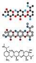 Gentamicin antibiotic drug (aminoglycoside class) molecule