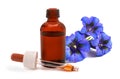 Gentian with essence bottle Royalty Free Stock Photo