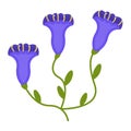 Gentian flower flat icon, wildflowers