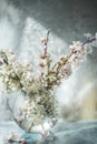 gentle art photo watercolor branches of flowering fruit trees in a transparent vase.