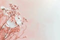 A gentle blend of pink and white in a floral backdrop, embodying softness and natural elegance
