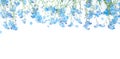 Gentle Border of blue forget-me-not flowers on white background Royalty Free Stock Photo