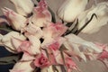 White and pink tulips. Pastel colors, cool tones. Gentle bouquet. top view. Royalty Free Stock Photo