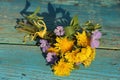 A gentle bouquet of wildflowers. Small flowers on a green wooden background Royalty Free Stock Photo