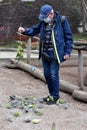 Gentle budgerigars try to pick grains from a manÃ¢â¬â¢s shoes