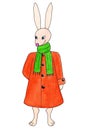 Gentle bunny wearing brick red elegant coat. Hare girl in orange cloak and bright green scarf.