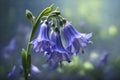 The gentle charm of a bluebell flower, focusing on its slender stem and delicate bell-shaped blooms