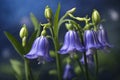 The gentle charm of a bluebell flower, focusing on its slender stem and delicate bell-shaped blooms