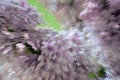 Digital art. Lilac bouquet. Explosion abstraction. Pixelation
