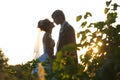 Gentle couple holding hands on background leaves and sunset Royalty Free Stock Photo