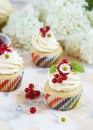 Gentle cupcake with cream and berries on a light background