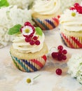 Gentle cupcake with cream and berries on a light background