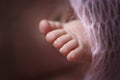 Gentle fingers and feet newborn baby close-up Royalty Free Stock Photo