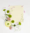 Gentle flowers and plants on white background with blank space.