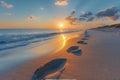 Gentle footprints in the sand leading towards the ocean