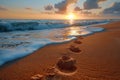 Gentle footprints in the sand leading towards the ocean