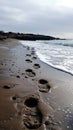 Gentle footprints in the sand leading towards the ocean