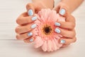 Gentle gerbera in female manicured hands.