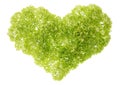 Gentle green heart Royalty Free Stock Photo