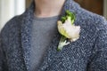 Gentle groom boutonniere with roses and beads Royalty Free Stock Photo