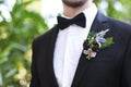 Gentle groom boutonniere with roses, chrysanthemum Royalty Free Stock Photo