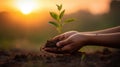 Gentle hand nurturing a young plant with care and tenderness.