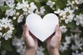 Gentle hands hold an ethereal, empty paper heart, set against a backdrop of vibrant flowers