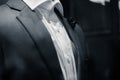 Gentle man closeup groom tuxedo suit Royalty Free Stock Photo