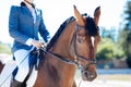 Gentle man fond of equestrianism sitting on dark