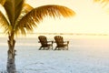 Gentle morning on the beach of the Atlantic Ocean. Palm branches over beach loungers. Florida. USA.