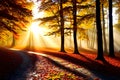 autumn nature landscape of colorful forest in morning sunlight generated by ai