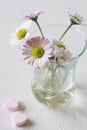 Gentle pastel spring flower and pink cup