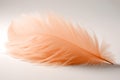 A gentle peach fuzz color feather lying on minimal light background. Modern trendy tone hue shade