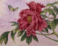 Gentle peony and butterfly