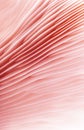 Gentle pink abstract background pink mycology