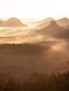 Gentle pink fall season fog cover dreamy landscape