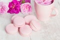 Gentle pink macaroons with rose Royalty Free Stock Photo