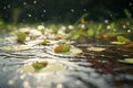 Gentle raindrops creating ripples on the surface o Royalty Free Stock Photo