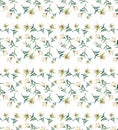 Gentle refined beautiful pattern of white beige powdery lilies watercolor