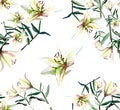 Gentle refined seamless pattern of white beige powdery lilies watercolor