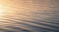 Gentle ripples create a serene pattern Royalty Free Stock Photo